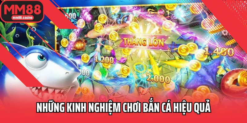 Những kinh nghiệm chơi bắn cá hiệu quả
